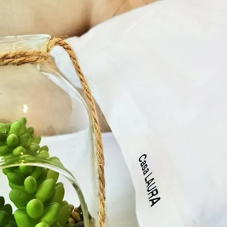 Casa Laura Pensionat 3*