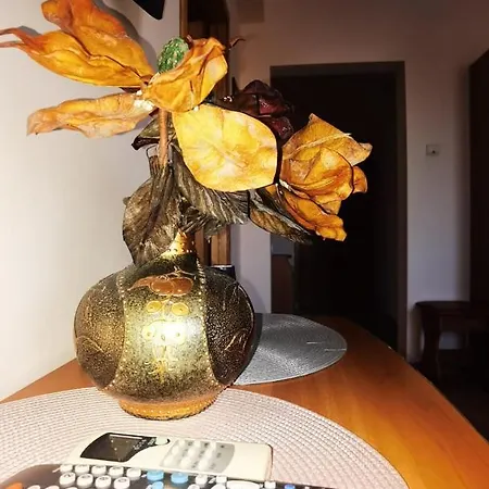 Pensionat Casa Laura 3*